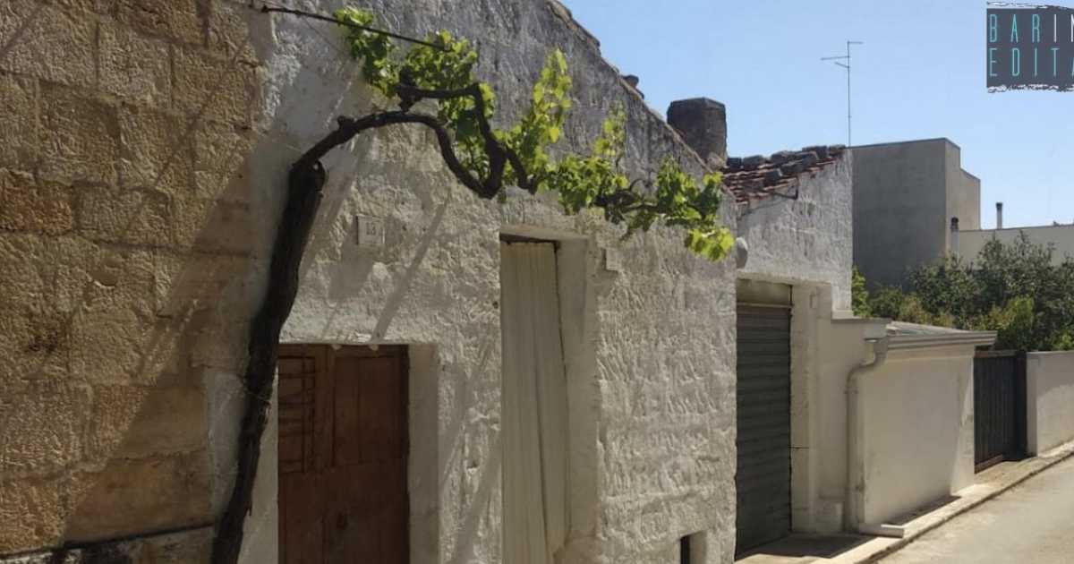 Sammichele, la tradizione di piantare una vite sull'uscio di casa: � la storia dei "vignali"